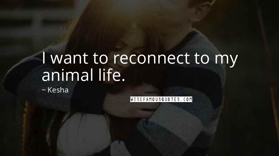 Kesha quotes: I want to reconnect to my animal life.