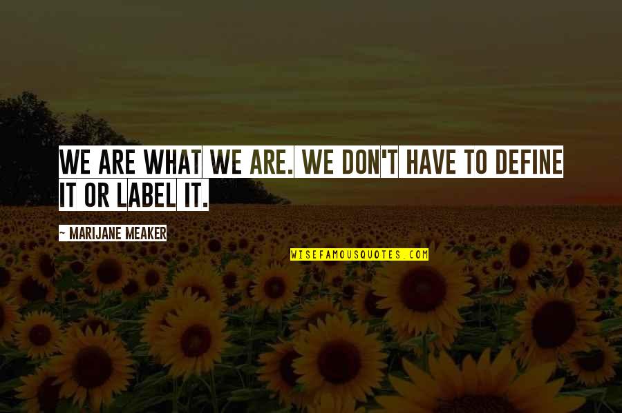 Kesinlikle Katiliyorum Quotes By Marijane Meaker: We are what we are. We don't have