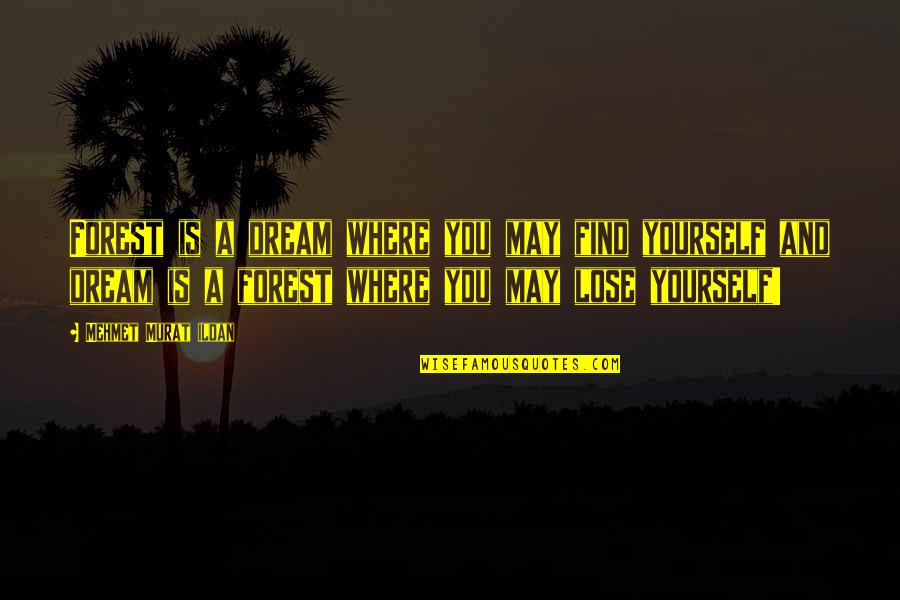 Kesipun Shutterstock Quotes By Mehmet Murat Ildan: Forest is a dream where you may find Kesipun Shutterstock Quotes By Mehmet Murat Ildan: Forest is a dream where you may find