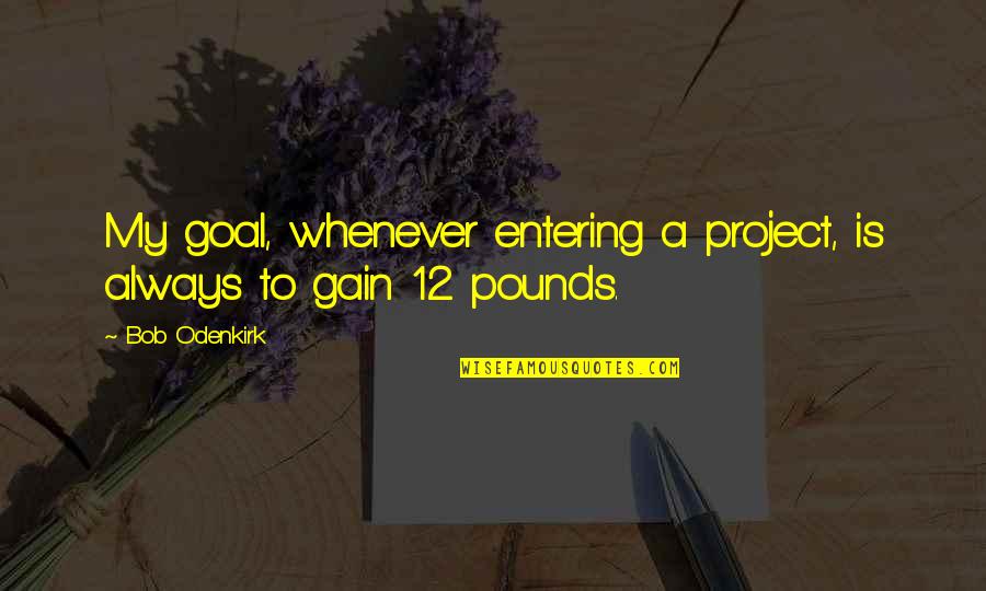 Kesusahan Sehari Quotes By Bob Odenkirk: My goal, whenever entering a project, is always