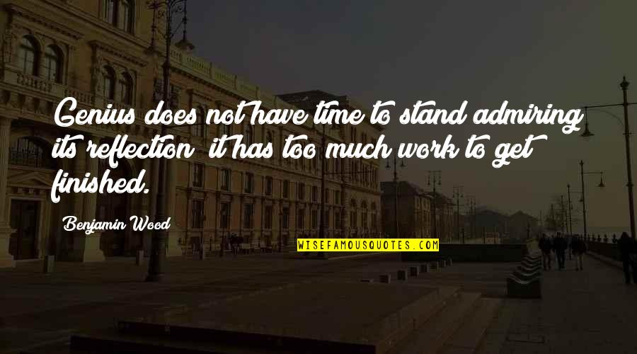 Ketanserin Quotes By Benjamin Wood: Genius does not have time to stand admiring