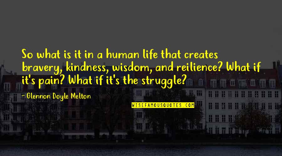 Ketchseven Quotes By Glennon Doyle Melton: So what is it in a human life