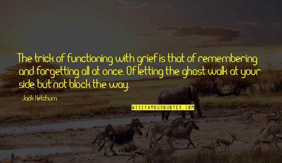 Ketchum's Quotes By Jack Ketchum: The trick of functioning with grief is that Ketchum's Quotes By Jack Ketchum: The trick of functioning with grief is that