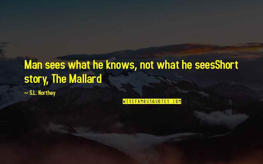 Ketinggalan 1 Quotes By S.L. Northey: Man sees what he knows, not what he