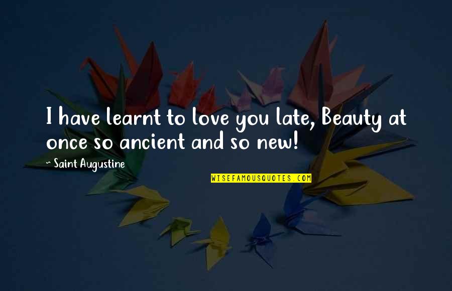 Kettenburg K38 Quotes By Saint Augustine: I have learnt to love you late, Beauty