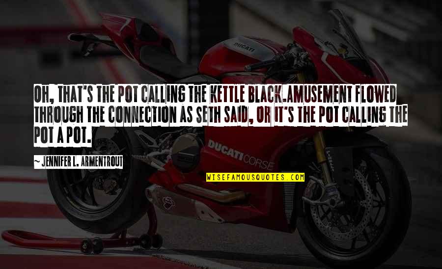 Kettle Black Quotes By Jennifer L. Armentrout: Oh, that's the pot calling the kettle black.Amusement