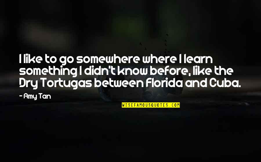 Kettle Tea Quotes By Amy Tan: I like to go somewhere where I learn Kettle Tea Quotes By Amy Tan: I like to go somewhere where I learn