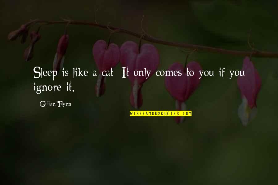 Kettutytt Quotes By Gillian Flynn: Sleep is like a cat: It only comes