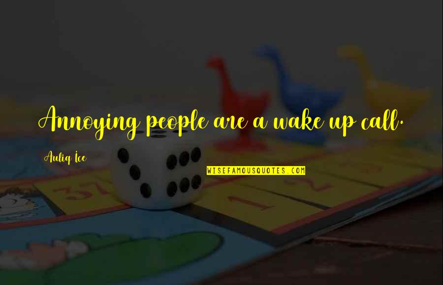 Keutuhan Nkri Quotes By Auliq Ice: Annoying people are a wake up call.