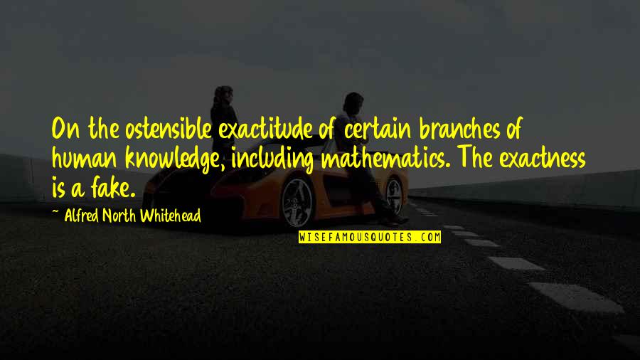 Keva Quotes By Alfred North Whitehead: On the ostensible exactitude of certain branches of