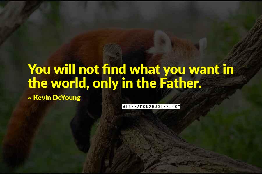 Kevin DeYoung quotes: You will not find what you want in the world, only in the Father.