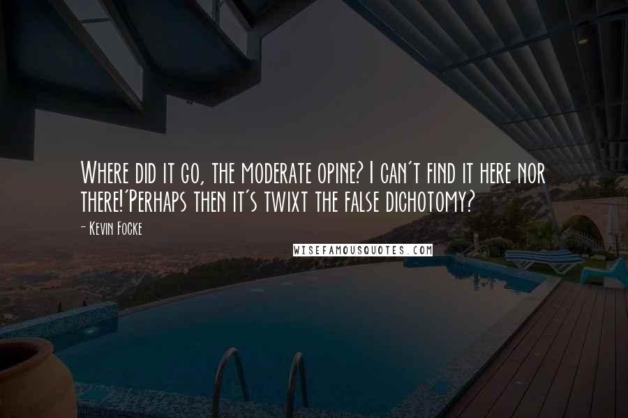 Kevin Focke quotes: Where did it go, the moderate opine? I can't find it here nor there!'Perhaps then it's twixt the false dichotomy?