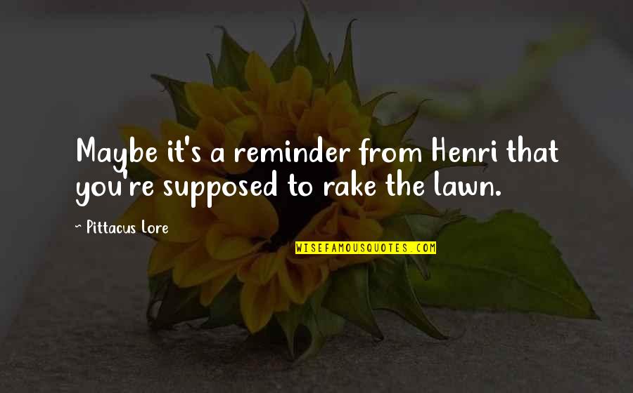 Kevin Kehoe Quotes By Pittacus Lore: Maybe it's a reminder from Henri that you're