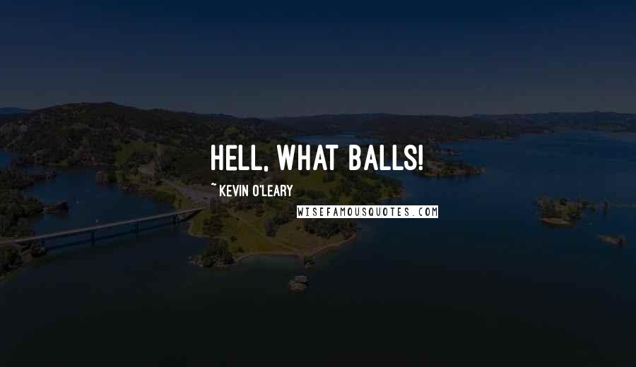 Kevin O'Leary quotes: Hell, what balls!