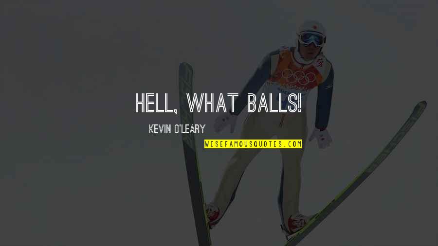 Kevin O'leary Quotes By Kevin O'Leary: Hell, what balls!