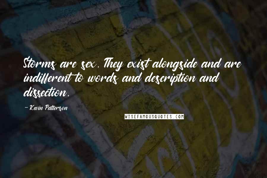 Kevin Patterson quotes: Storms are sex. They exist alongside and are indifferent to words and description and dissection.