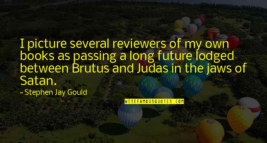 Kewenig Gallery Quotes By Stephen Jay Gould: I picture several reviewers of my own books Kewenig Gallery Quotes By Stephen Jay Gould: I picture several reviewers of my own books