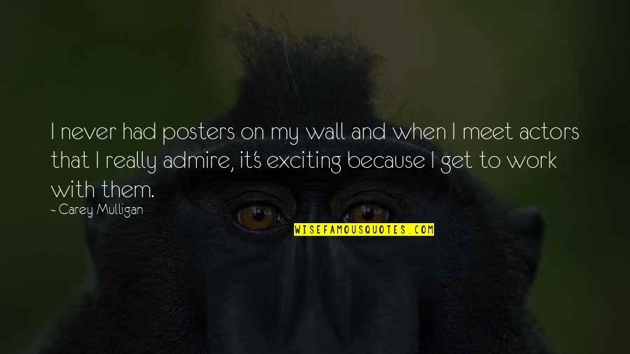 Kewujudan Hantu Quotes By Carey Mulligan: I never had posters on my wall and Kewujudan Hantu Quotes By Carey Mulligan: I never had posters on my wall and