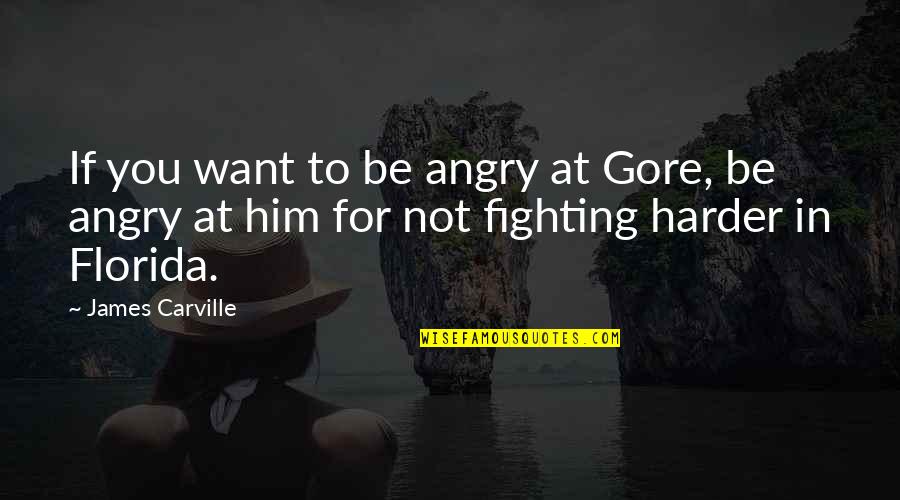 Keyboard Single Quote Quotes By James Carville: If you want to be angry at Gore,