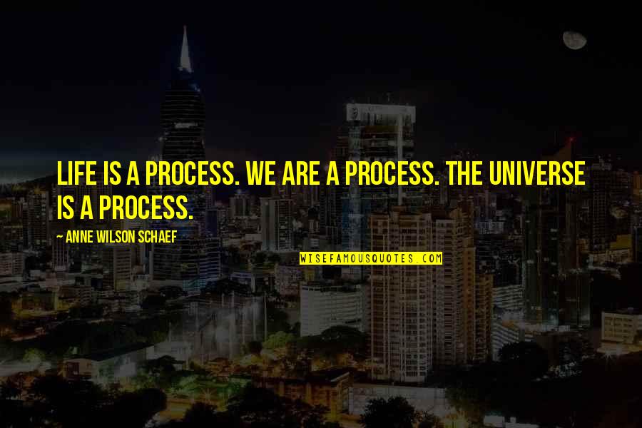 Keylounge Quotes By Anne Wilson Schaef: Life is a process. We are a process.