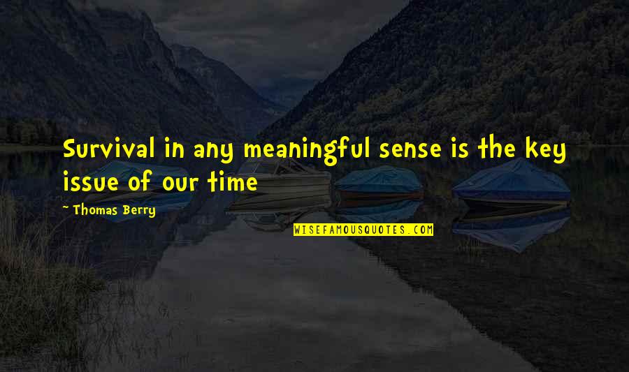 Keys And Time Quotes By Thomas Berry: Survival in any meaningful sense is the key