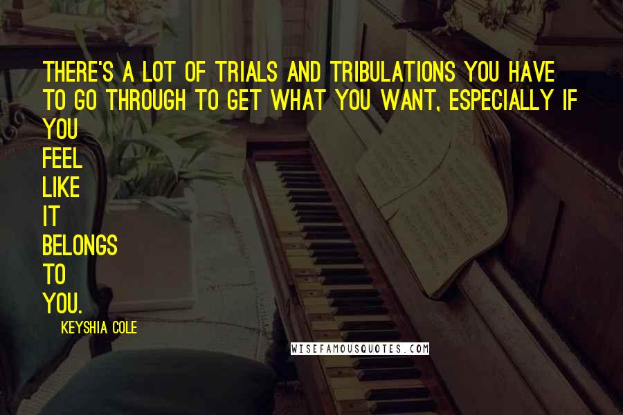Keyshia Cole quotes: There's a lot of trials and tribulations you have to go through to get what you want, especially if you feel like it belongs to you.