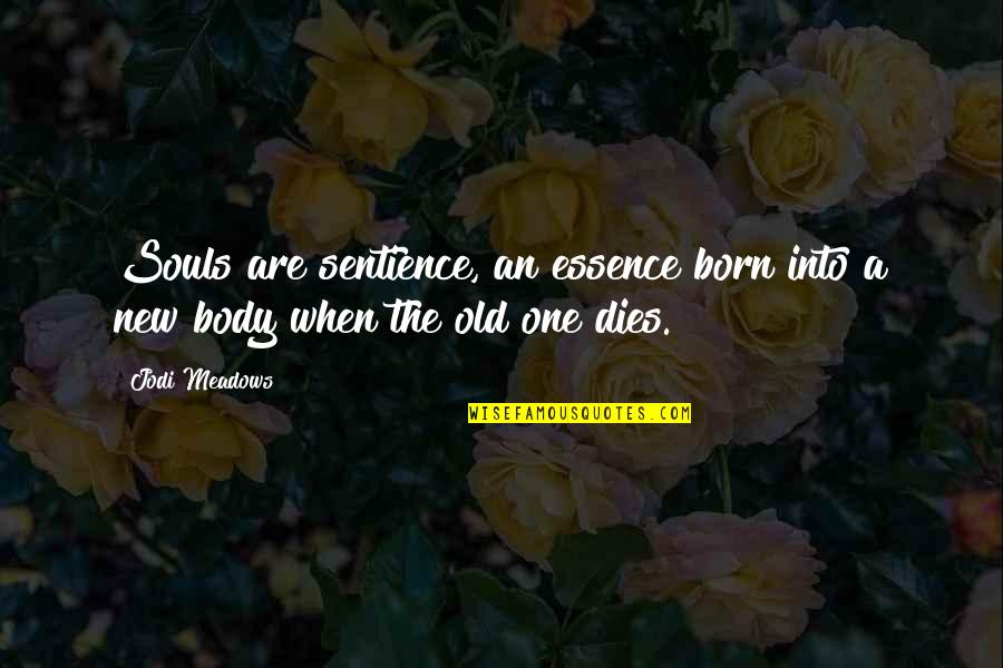 Kh Namine Quotes By Jodi Meadows: Souls are sentience, an essence born into a