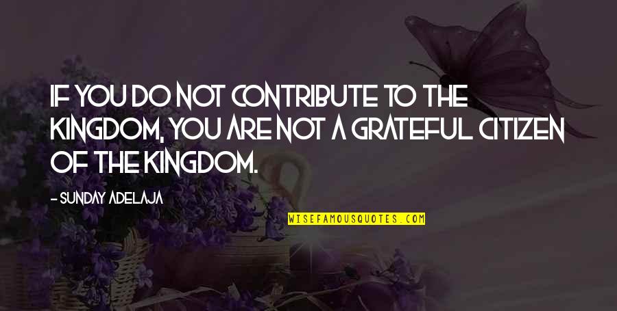 Kh Ventus Quotes By Sunday Adelaja: If you do not contribute to the Kingdom,