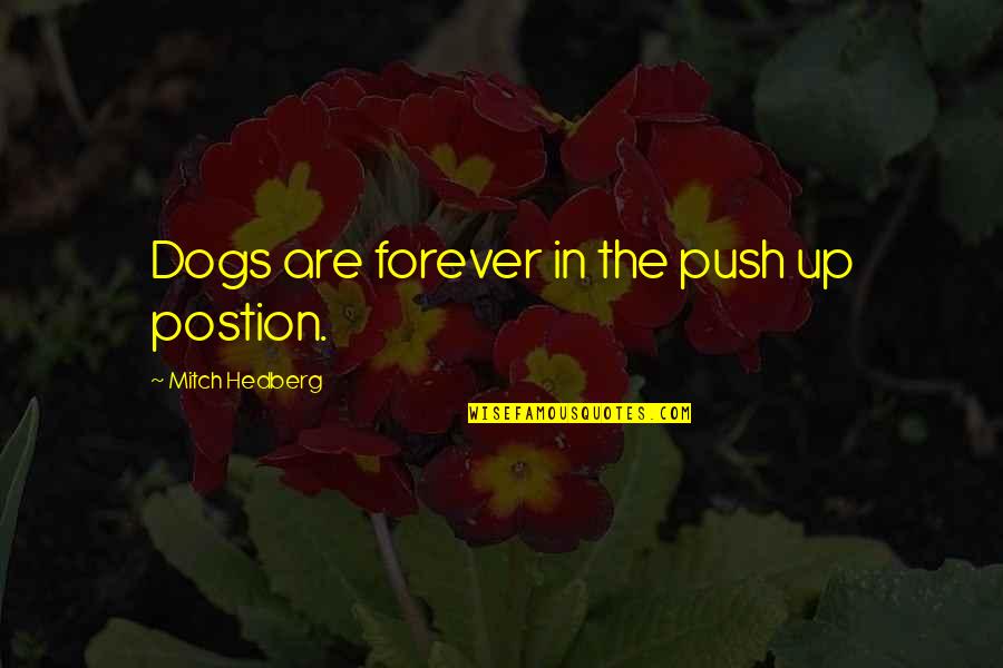 Khachanov Coach Quotes By Mitch Hedberg: Dogs are forever in the push up postion. Khachanov Coach Quotes By Mitch Hedberg: Dogs are forever in the push up postion.