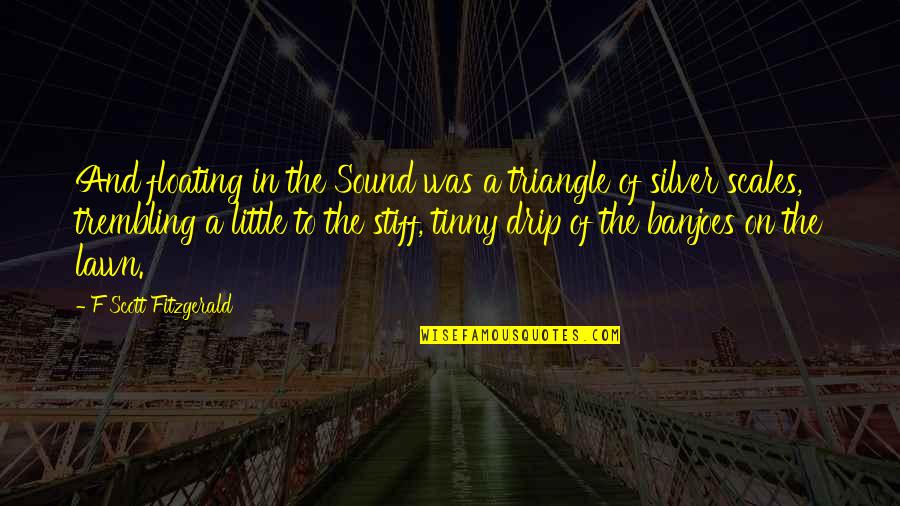 Khachiyants Quotes By F Scott Fitzgerald: And floating in the Sound was a triangle
