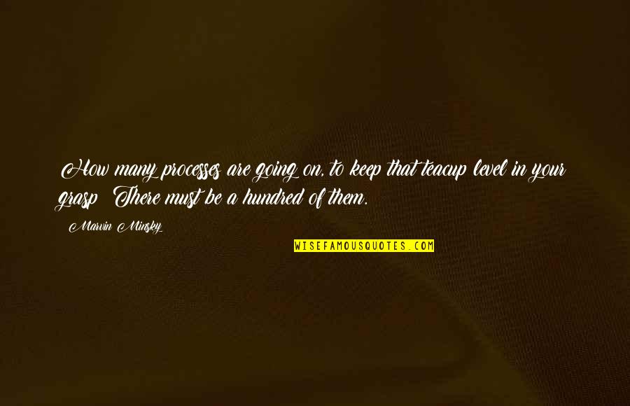 Khadem Retina Quotes By Marvin Minsky: How many processes are going on, to keep