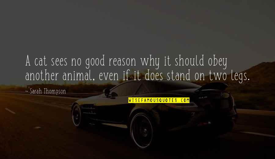 Khader Quotes By Sarah Thompson: A cat sees no good reason why it