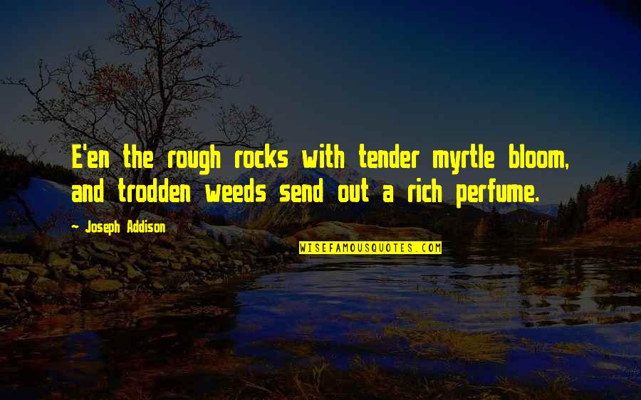 Khadra Glamour Quotes By Joseph Addison: E'en the rough rocks with tender myrtle bloom,