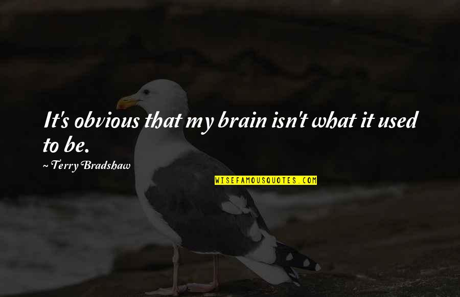 Khafif Henna Quotes By Terry Bradshaw: It's obvious that my brain isn't what it Khafif Henna Quotes By Terry Bradshaw: It's obvious that my brain isn't what it