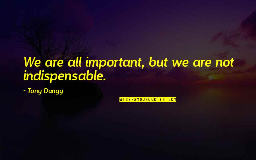 Khai Thue Quotes By Tony Dungy: We are all important, but we are not Khai Thue Quotes By Tony Dungy: We are all important, but we are not