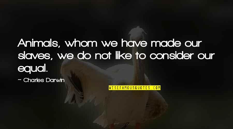 Khaila Rettinger Quotes By Charles Darwin: Animals, whom we have made our slaves, we