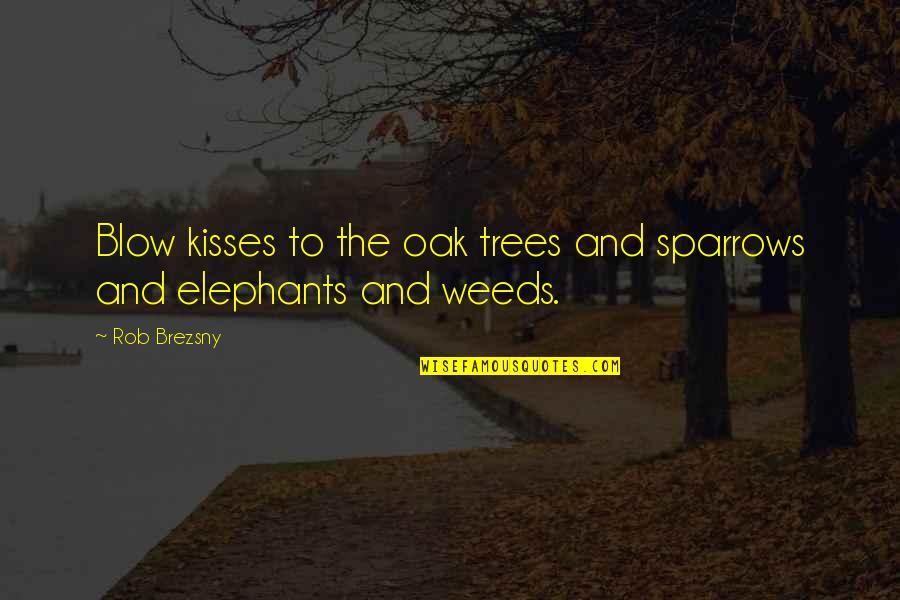 Khalasar Ponchos Quotes By Rob Brezsny: Blow kisses to the oak trees and sparrows