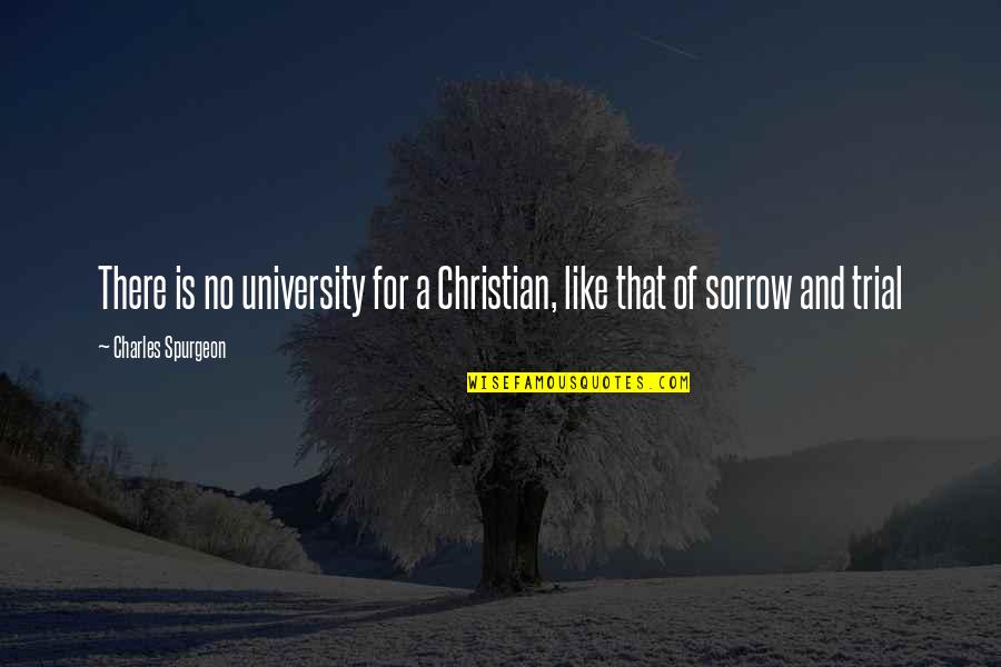 Khamis Jewelers Quotes By Charles Spurgeon: There is no university for a Christian, like