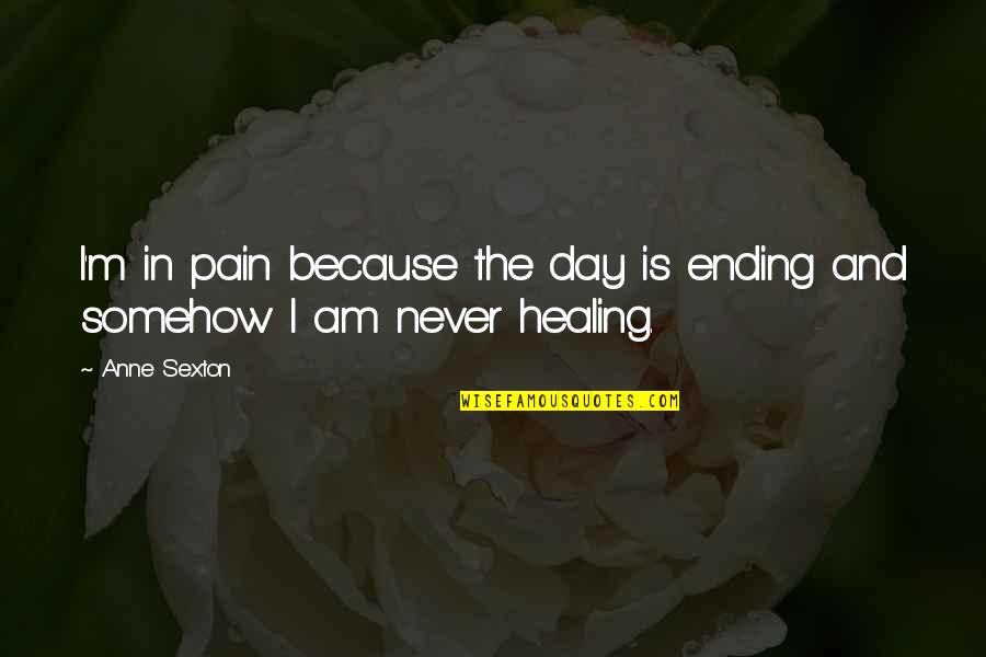 Khattabi Abdelkrim Quotes By Anne Sexton: I'm in pain because the day is ending