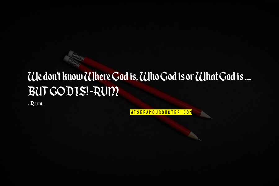 Khavari Fereshte Quotes By R.v.m.: We don't know Where God is, Who God