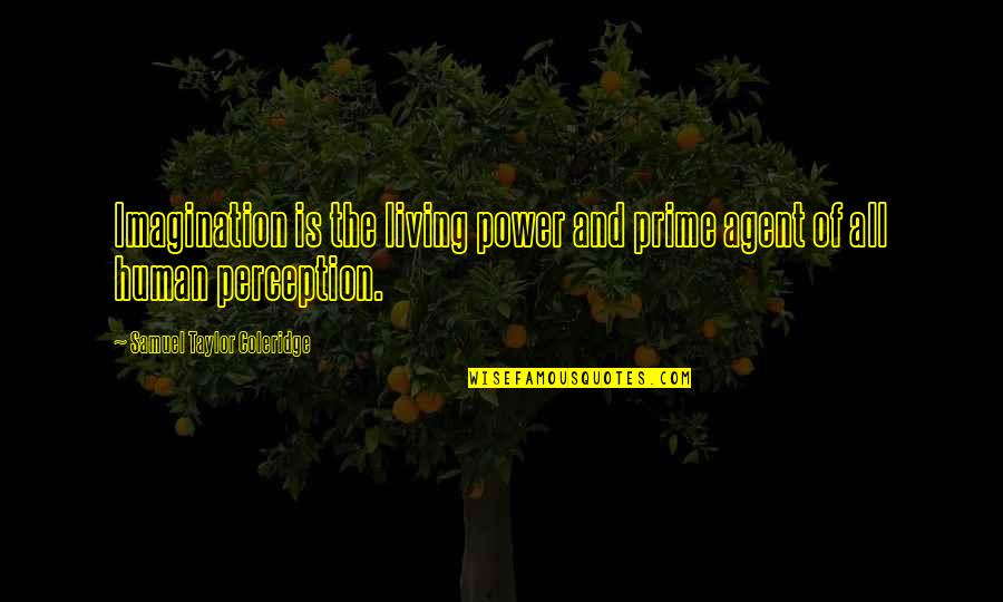 Khomotso Manyaka Quotes By Samuel Taylor Coleridge: Imagination is the living power and prime agent Khomotso Manyaka Quotes By Samuel Taylor Coleridge: Imagination is the living power and prime agent