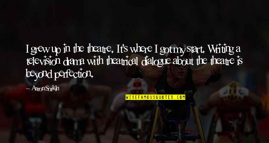 Khosrove Quotes By Aaron Sorkin: I grew up in the theatre. It's where