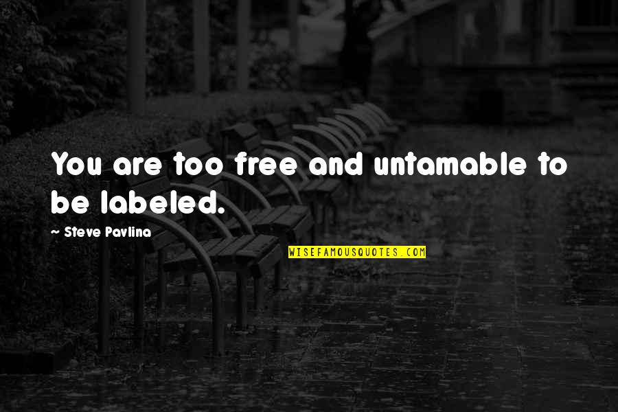 Khr Bel Quotes By Steve Pavlina: You are too free and untamable to be