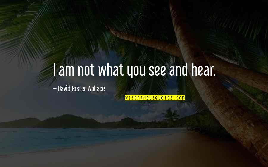 Khun Aguero Agnis Quotes By David Foster Wallace: I am not what you see and hear. Khun Aguero Agnis Quotes By David Foster Wallace: I am not what you see and hear.