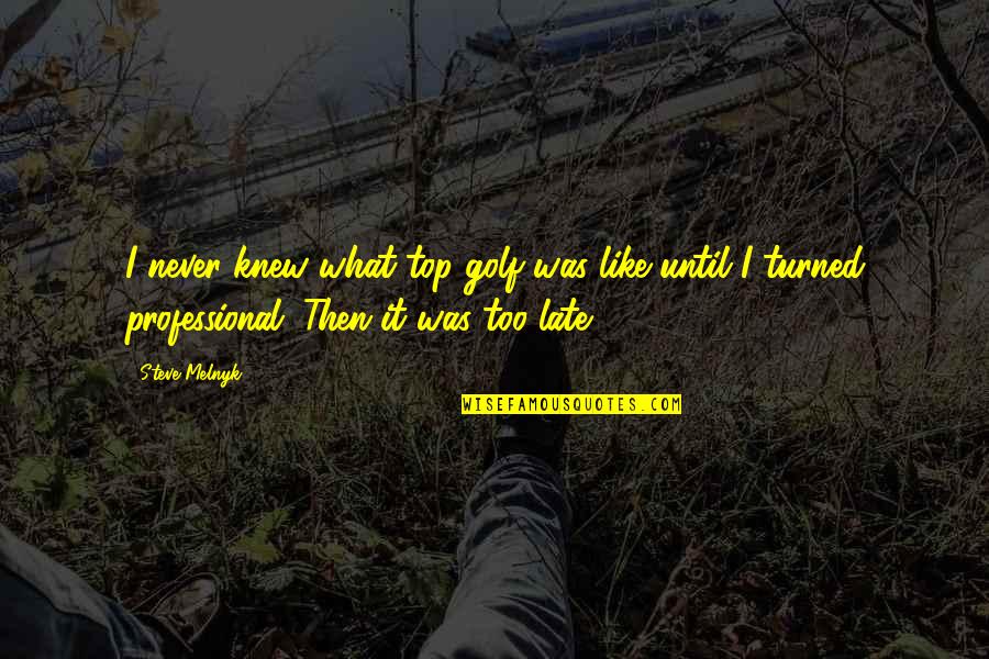 Khwabon Ke Parindey Quotes By Steve Melnyk: I never knew what top golf was like Khwabon Ke Parindey Quotes By Steve Melnyk: I never knew what top golf was like