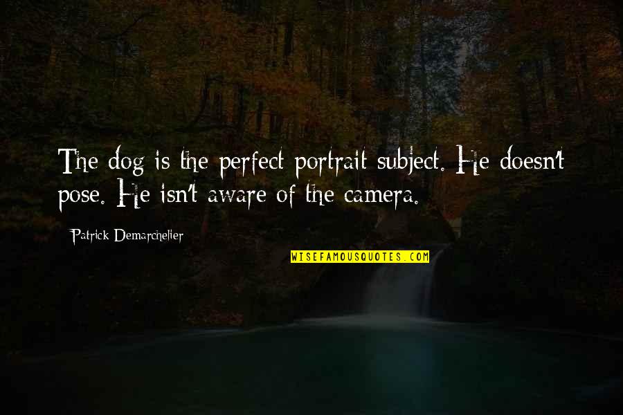 Khwahish Quotes By Patrick Demarchelier: The dog is the perfect portrait subject. He Khwahish Quotes By Patrick Demarchelier: The dog is the perfect portrait subject. He