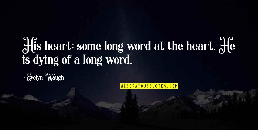 Kian William Quotes By Evelyn Waugh: His heart; some long word at the heart.