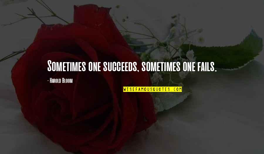 Kichu Tellus Quotes By Harold Bloom: Sometimes one succeeds, sometimes one fails. Kichu Tellus Quotes By Harold Bloom: Sometimes one succeeds, sometimes one fails.