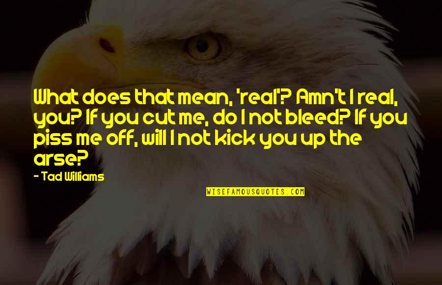 Kick Off Quotes By Tad Williams: What does that mean, 'real'? Amn't I real,