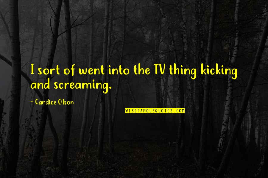 Kicking And Screaming Quotes By Candice Olson: I sort of went into the TV thing